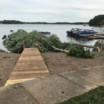 A photo of a tree down along the shores of Lake Norman after the August 7 tornado event