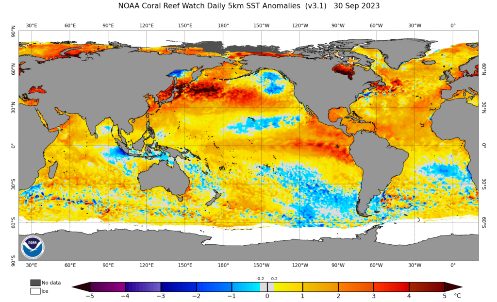 A map of global sea surface temperature anomalies as of September 30, 2023