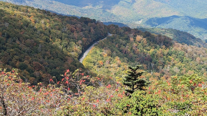 A photo of changing leaf colors and mountain ash berries in western North Carolina