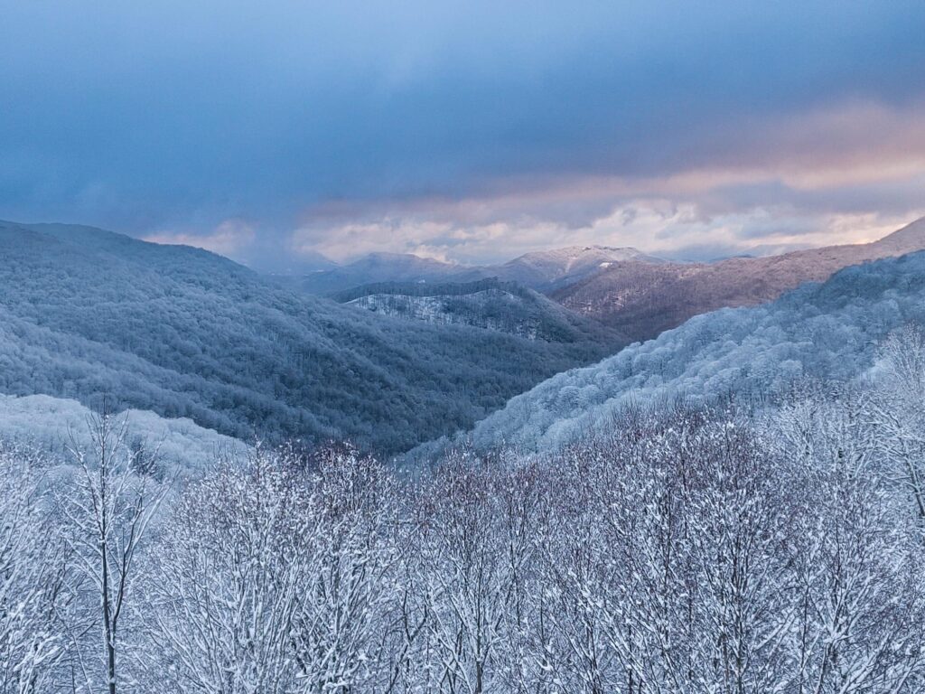 A photo of snow on the mountains of Yancey County on January 31