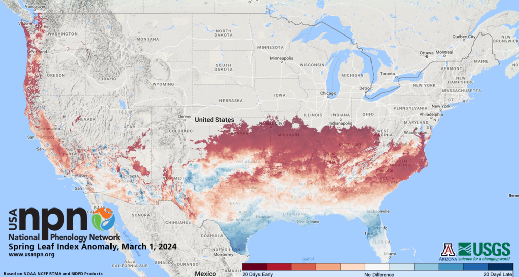 Spring leaf anomaly index map as of March 1, 2024