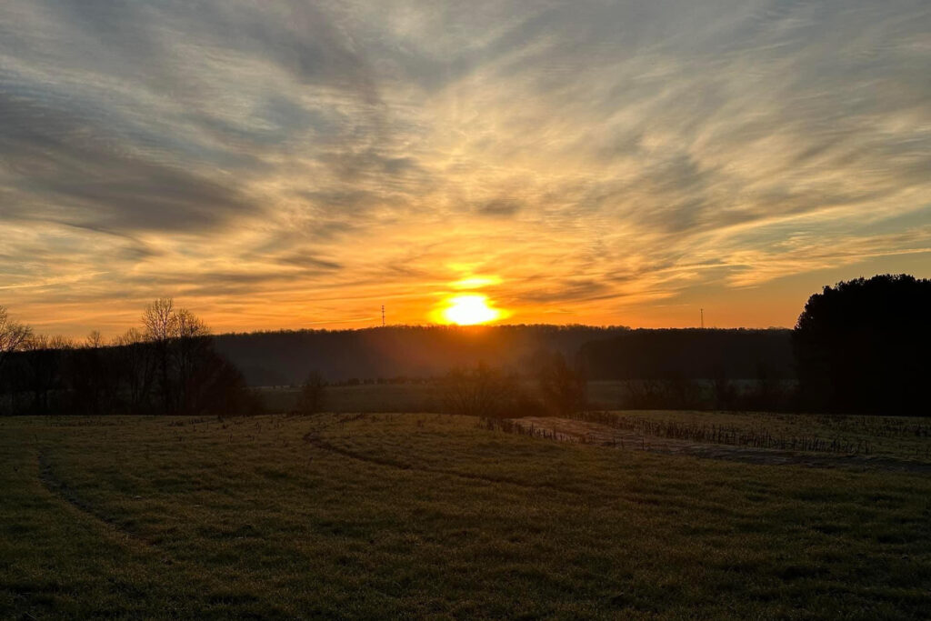 A photo of the sun rising over trees in Cabarrus County