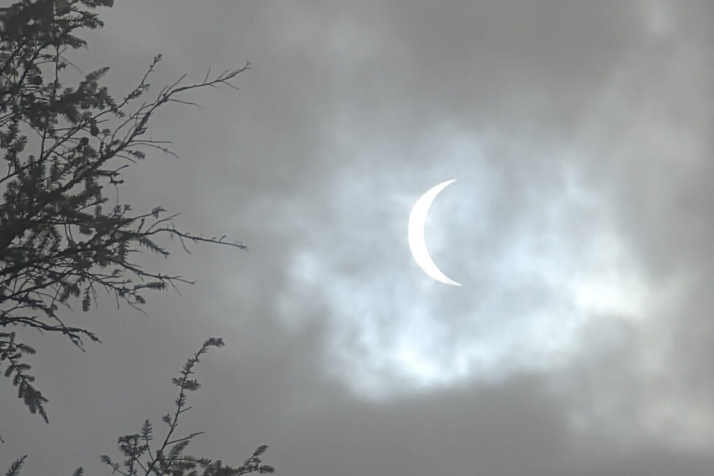 Photo of the April 8 partial solar eclipse in Pisgah National Forest