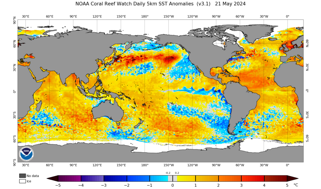 A map of global sea surface temperature anomalies on May 21, 2024