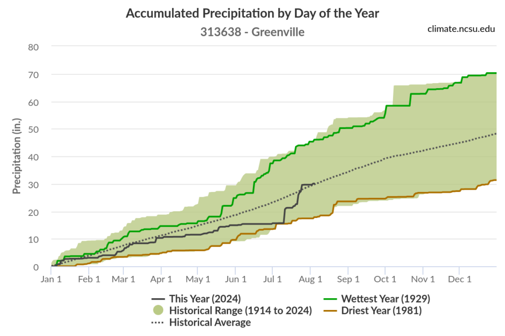 A graph of accumulated precipitation in Greenville, NC, throughout 2024 and compared to historical conditions