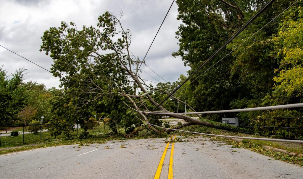 A photo of a tree and power line across a roadway in Asheville