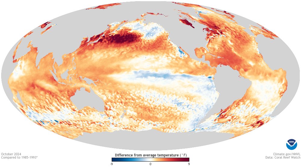 A map of global sea surface temperature anomalies showing cooler water across the equatorial Pacific Ocean