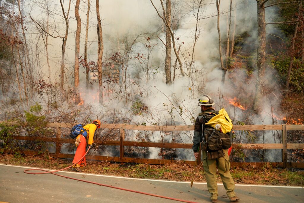 A photo of firefighters at the Buck Creek fire in December