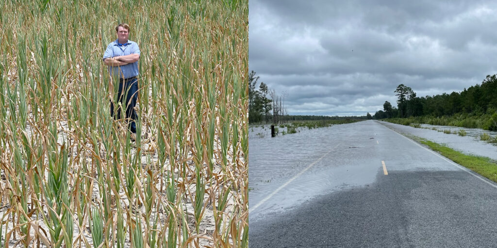 A pair of photos showing dry corn and flooded roads in Columbus County during summer 2024