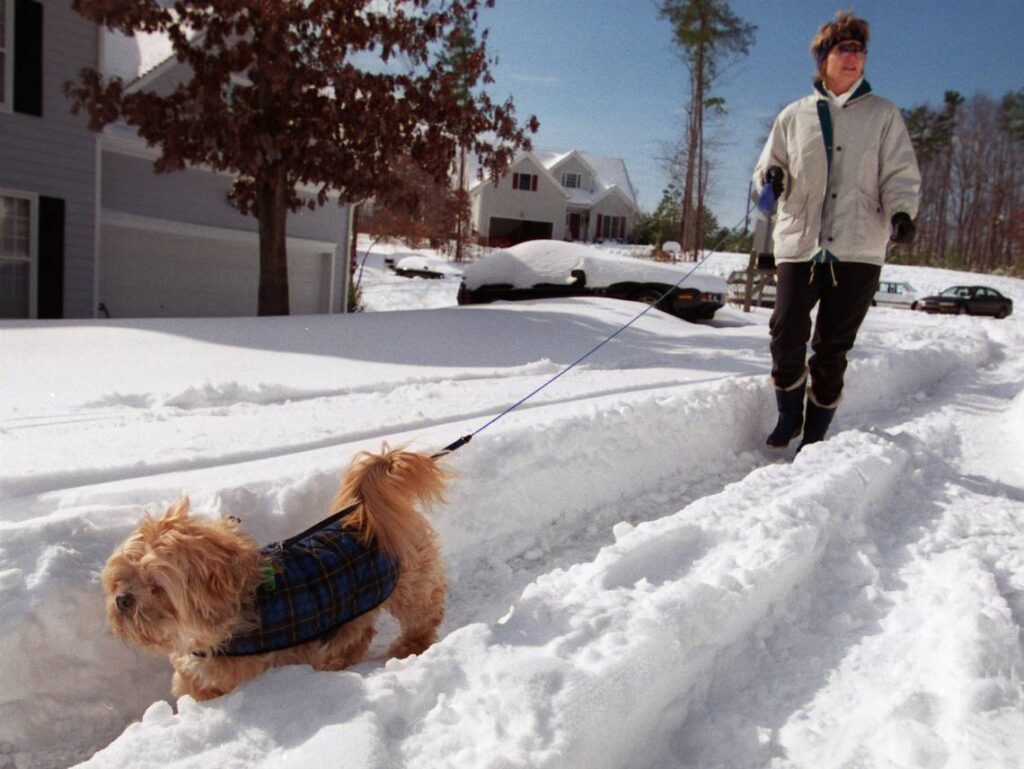 A photo of a woman walking a dog down a snow-covered road in Cary