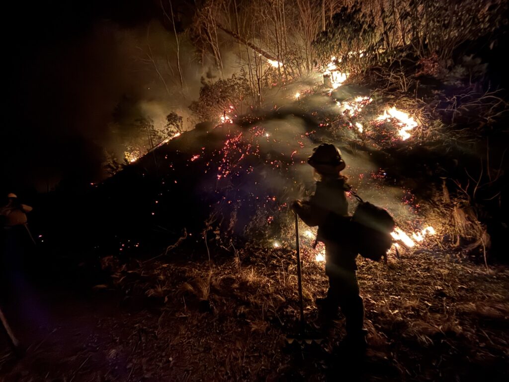 A photo of the North Fork wildfire burning in McDowell County on January 30