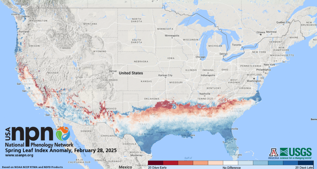 A map of the Spring Leaf Index Anomaly on February 28, 2025