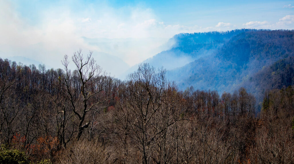 A photo of the Black Cove wildfire burning in Polk County in March