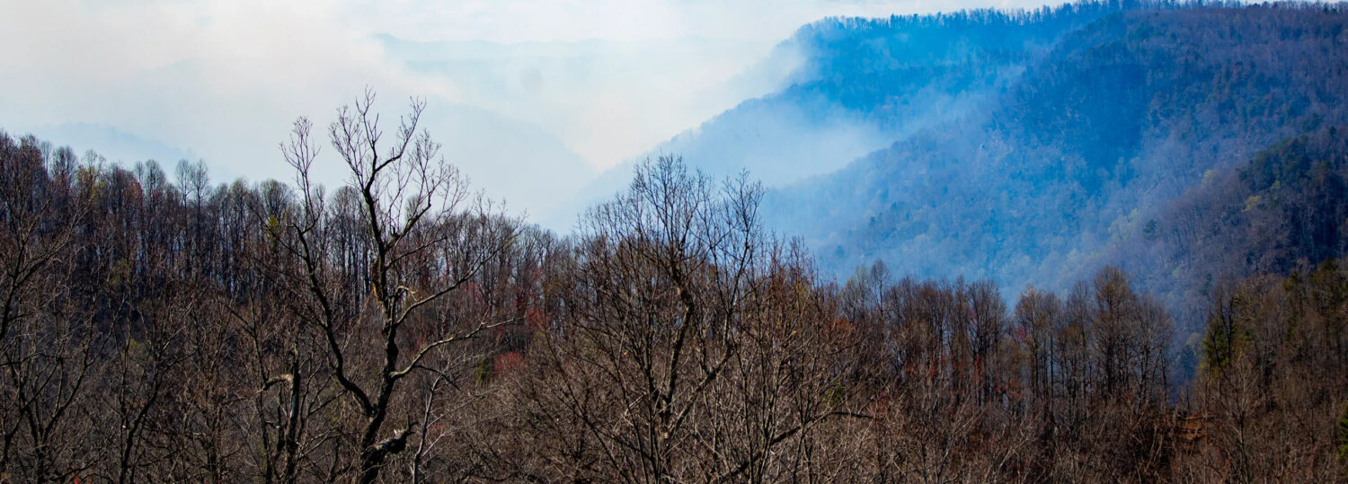 A photo of the Black Cove wildfire burning in Polk County in March