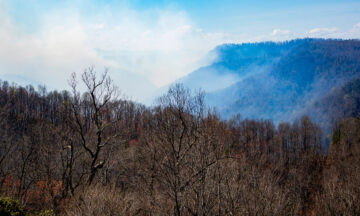 A photo of the Black Cove wildfire burning in Polk County in March