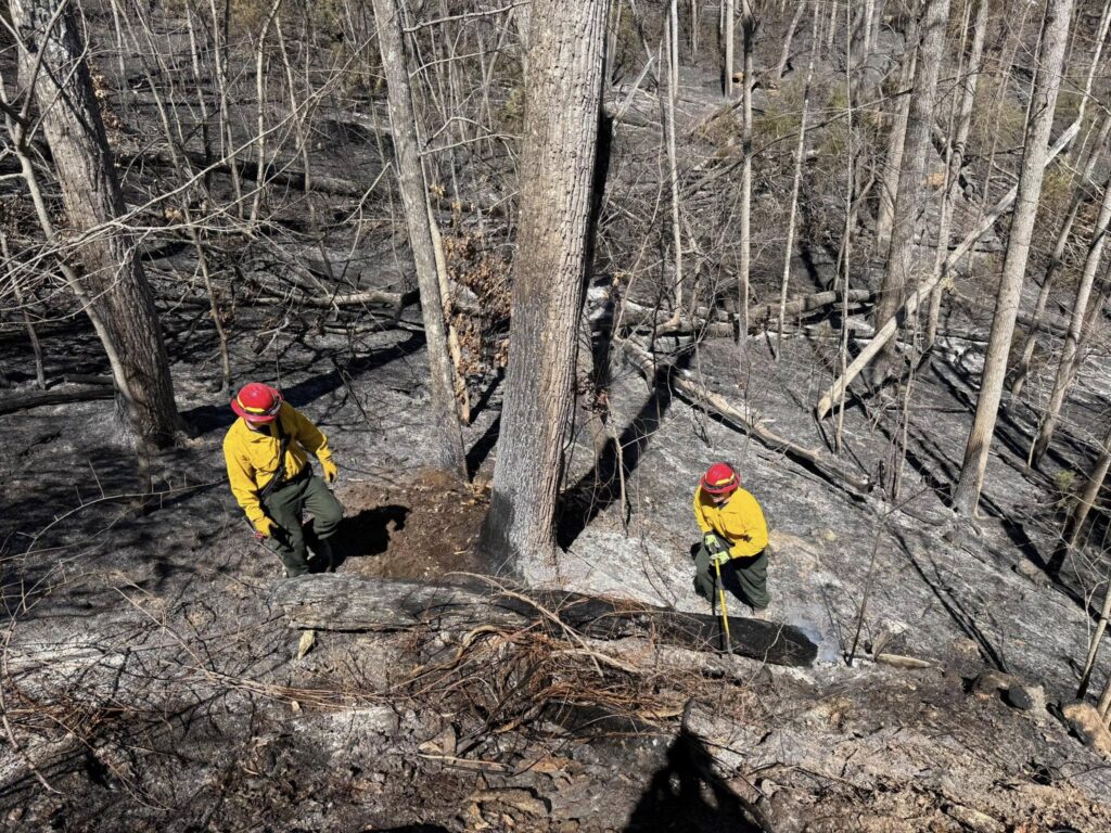 A photo of firefighters from the Gastonia Fire Department at one of the Polk County wildfire sites in March
