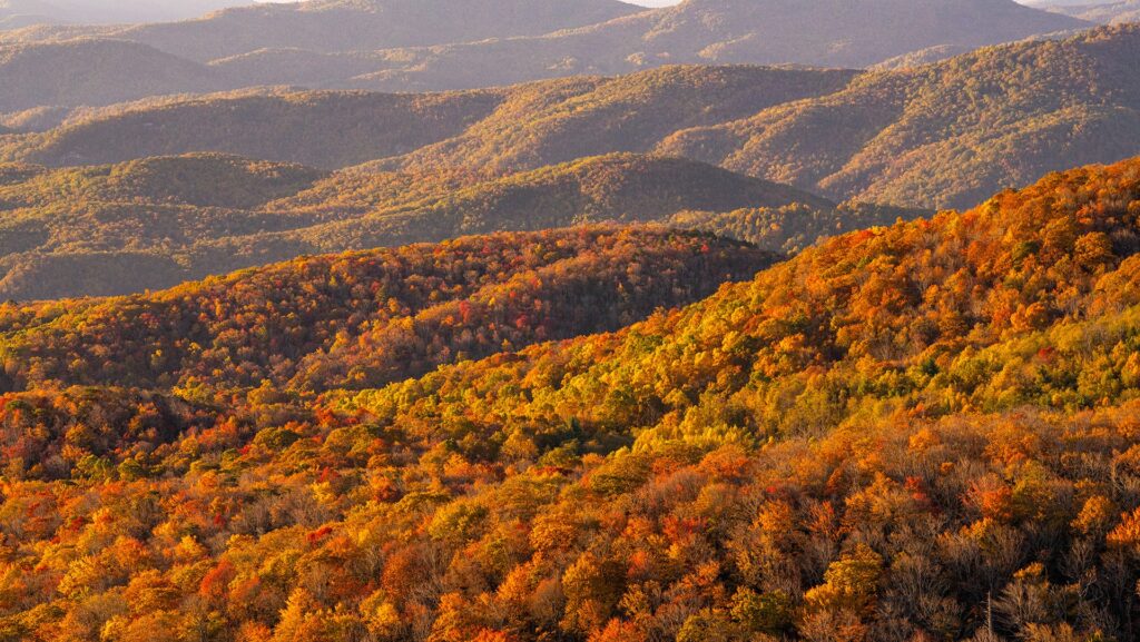 A photo of orange and yellow trees across the mountain landscape in Avery County on October 22
