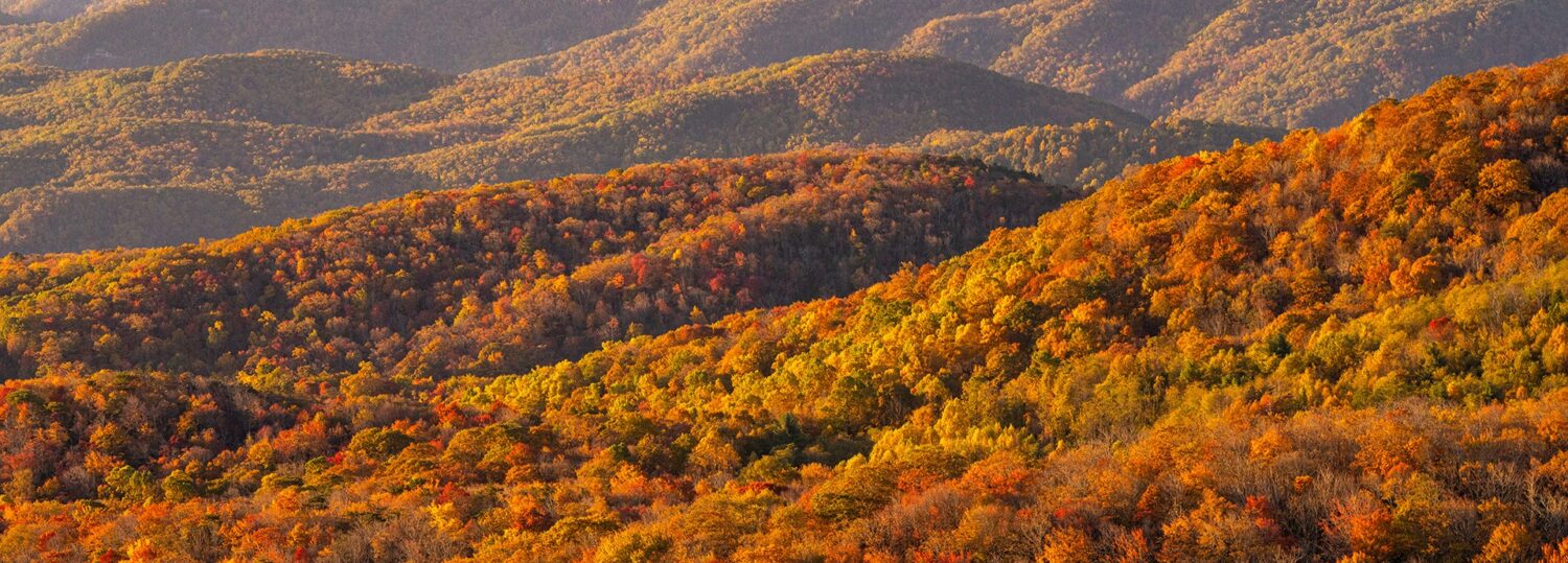 A photo of orange and yellow trees across the mountain landscape in Avery County on October 22