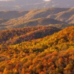 A photo of orange and yellow trees across the mountain landscape in Avery County on October 22