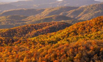 A photo of orange and yellow trees across the mountain landscape in Avery County on October 22