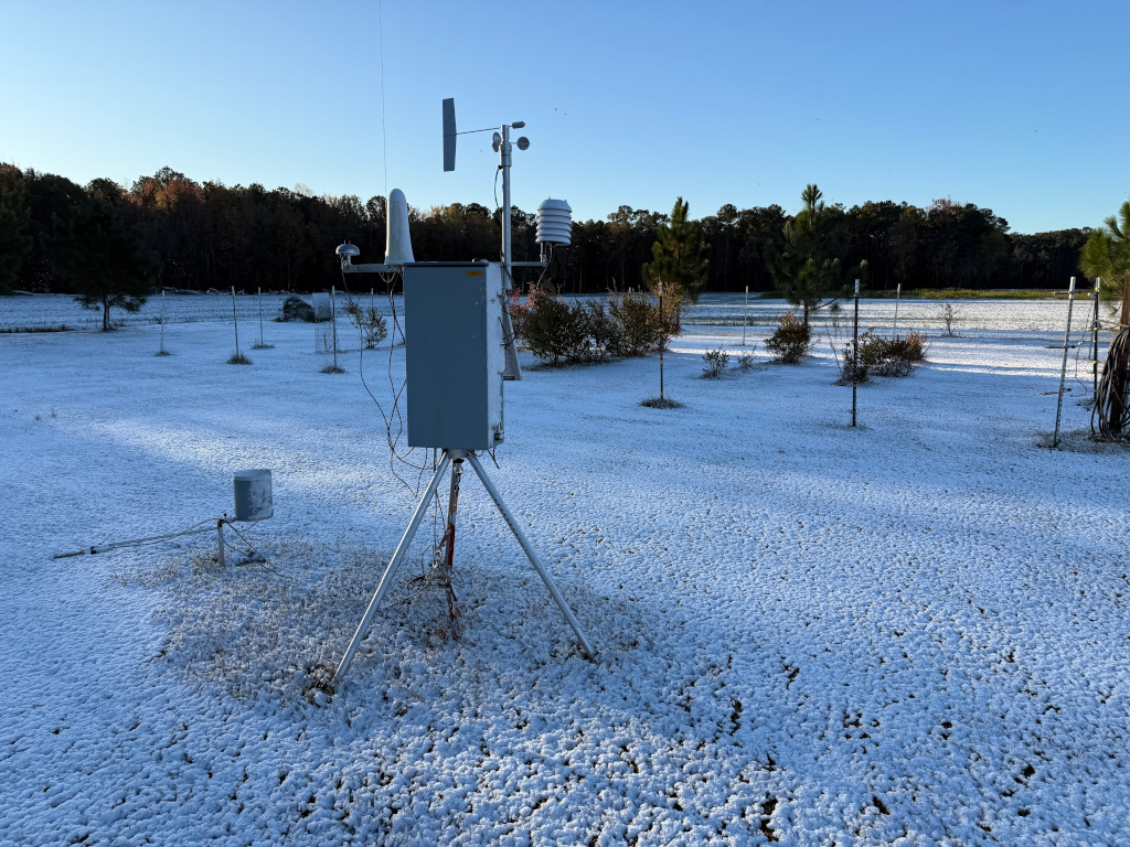 A photo of snow on the ground in Beaufort County on the morning of November 11